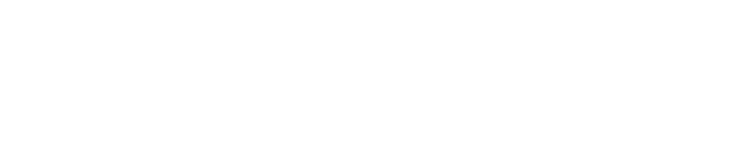 NANOVIQUE